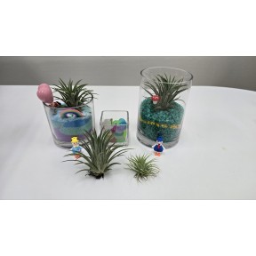 테라리움 만들기 DIY 키트(20인 수업용)